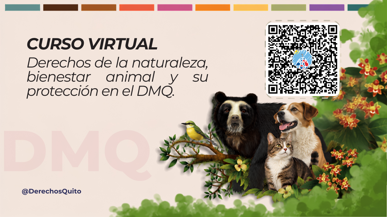 Derechos